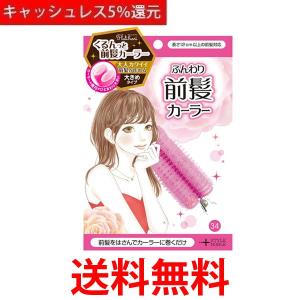 ELPA ライティングバー用スポットライト 電球なし E26 アイボリー LRS-BNE26B(IV)|1