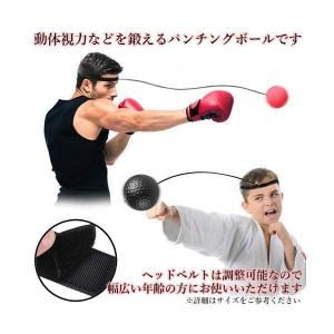 パンチングボール ボクシング トレーニング エ...の詳細画像2