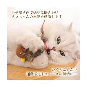猫 おもちゃ 鳥 鳴く ストレス発散 鳴き声 ...の詳細画像3