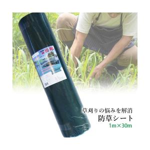 防草シート 高密度 300G 1m×30m 耐...の詳細画像1