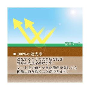 防草シート 高密度 300G 1m×30m 耐...の詳細画像2