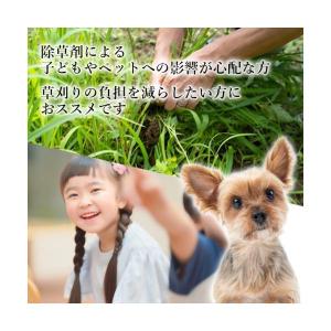 防草シート 高密度 300G 1m×30m 耐...の詳細画像4