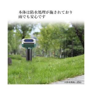 防獣グッズ 4本セット モグラ 撃退器 撃退機...の詳細画像3