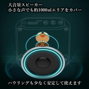 拡声器 ワイヤレス マイク 小型 ハンズフリー...の詳細画像3