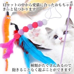 猫じゃらし 12点セット 猫用品 猫用おもちゃ...の詳細画像2