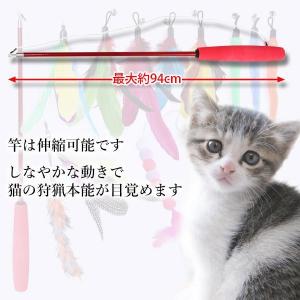 猫じゃらし 12点セット 猫用品 猫用おもちゃ...の詳細画像3