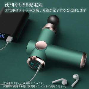 筋膜リリース ガン グリーン アタッチメント付...の詳細画像3