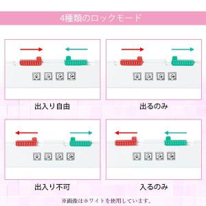 キャットドア ペットドア ブラウン L 壁 取...の詳細画像3