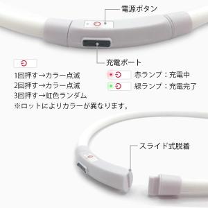 犬 猫 光る 首輪 LED レインボー 夜間 ...の詳細画像3