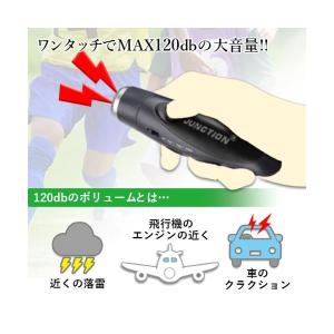 電子ホイッスル サッカー 熊除けホイッスル 笛...の詳細画像2