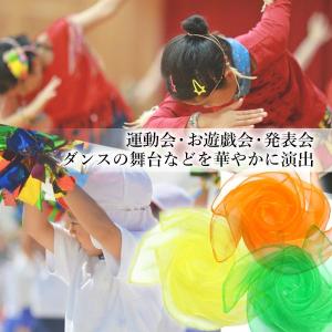 リトミックスカーフ シフォンスカーフ 10色 ...の詳細画像3