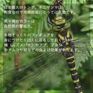 4個セット オニヤンマ おにやんま 虫除け 1...の詳細画像2