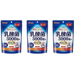 3個セット 山本漢方製薬 乳酸菌粒 90粒