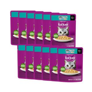 ライム様PURINA ピュリナ ワン キャット パウチ 48袋　猫　2箱 koji_flix216159-s