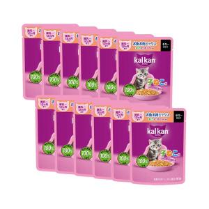 12個セット カルカン パウチ 12ヵ月までの子...の商品画像
