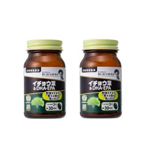 野口医学研究所 イチョウ葉 ＆ DHA・EPA 60粒 2セット 野口 noguchi