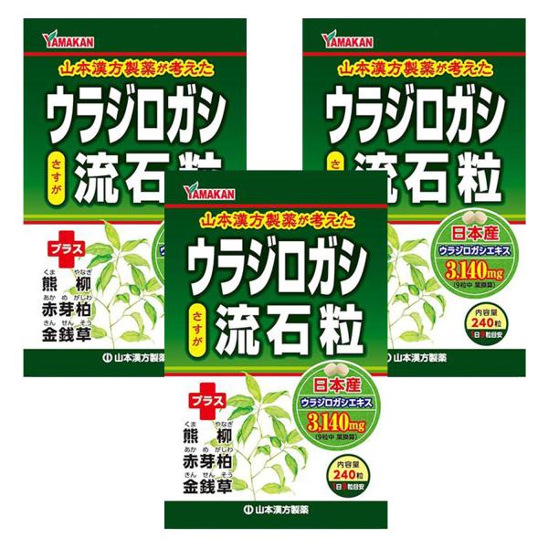 3個セット 山本漢方製薬 ウラジロガシ 流石粒 240粒