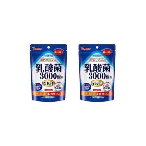 2個セット 山本漢方製薬 乳酸菌粒 90粒