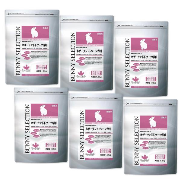 6個セット イースター バニーセレクション ネザーランドドワーフ専用 1.3kg うさぎ用