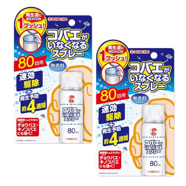 2個セット 金鳥 コバエがいなくなるスプレー 80回用 KINCHO