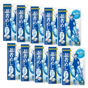 UHA味覚糖 UHA 味覚糖 忍者めし 鉄の鎧 グレープ味 40g ×2袋セット