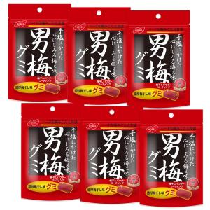 6個セット ノーベル 男梅グミ お菓子 38g