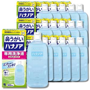 16個セット 小林製薬 ハナノア 専用洗浄液 レ...の商品画像