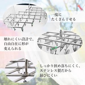 2個セット 洗濯ハンガー ピンチハンガー ステ...の詳細画像2