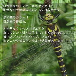 3個セット オニヤンマ おにやんま 虫除け 1...の詳細画像2