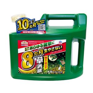3個セット アース製薬 除草剤 アースカマイラ...の詳細画像1
