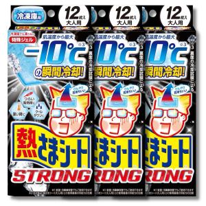 3個セット 小林製薬 熱さまシート 冷凍庫用 ストロング キンキンに冷える 冷却シート 大人用 12枚