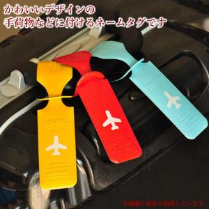 ネームタグ 飛行機 トラベル キーホルダー ス...の詳細画像2