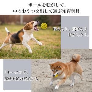 犬 猫 ボール おやつボール おやつ おもちゃ...の詳細画像2