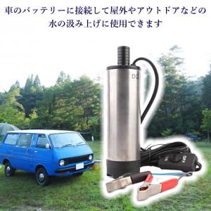 水中ポンプ 12V 小型 ワニクリップ シルバ...の詳細画像3