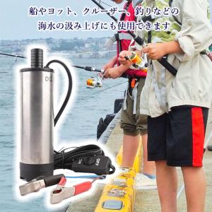 水中ポンプ 12V 小型 ワニクリップ シルバ...の詳細画像4