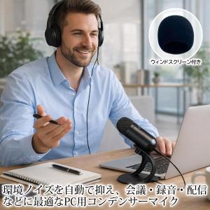 PC マイク 小型 USB 有線 タイプc 会...の詳細画像2