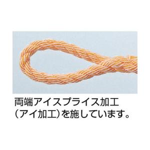 TRUSCO(トラスコ) PVトラックロープ ...の詳細画像1