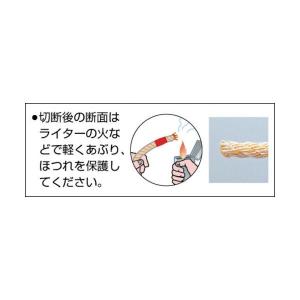 TRUSCO(トラスコ) PVトラックロープ ...の詳細画像2