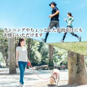海外 旅行 ウエスト ポーチ シークレットポー...の詳細画像4