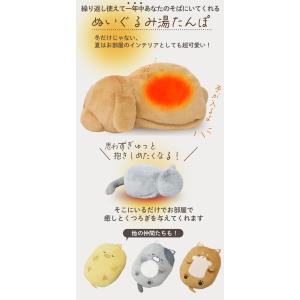 湯たんぽ 充電式 充電式あんか 電気湯たんぽ ...の詳細画像2