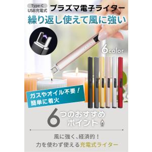 電子ライター USB 充電式 プラズマライター...の詳細画像1