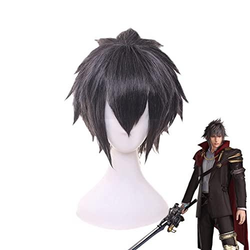 Anime Cosplay Wig Final Fantasy Noctis Lucis Caelu...