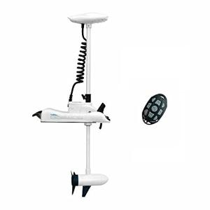 【並行輸入品】PARKHO HASWING 電...の詳細画像1