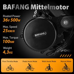 【並行輸入品】 Bafang BBS01B C...の詳細画像3