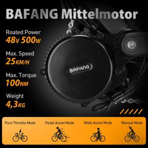 【並行輸入品】 BAFANG BBS01B C...の詳細画像3