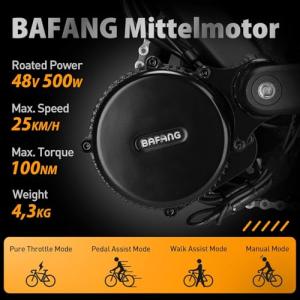 【並行輸入品】 BAFANG BBS01B C...の詳細画像4