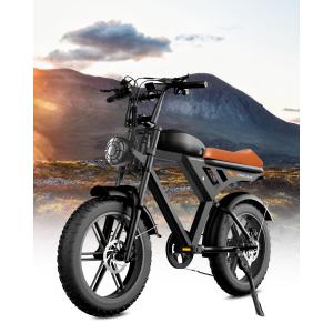【並行輸入品】 Besintu MOVCAN V30 Electric Bike for Adults, Brown