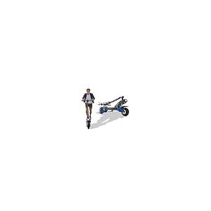 【並行輸入品】大人用電動スクーター Ruito...の詳細画像2