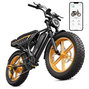 【並行輸入品】 TST Electric Bike 48V 15Ah Battery, 1500W Peak Motor, 20 * 4.0