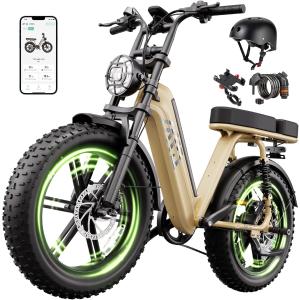 【並行輸入品】 TST Electric Bike 48V 15Ah Battery, 1500W Peak Motor, 20 * 4.0